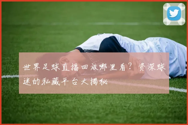 世界足球直播回放哪里看?资深球迷的私藏平台大揭秘